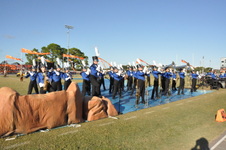 Enlarge photo 240