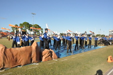 Enlarge photo 242