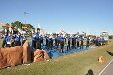 Enlarge photo 244