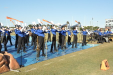 Enlarge photo 272