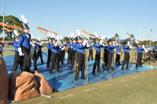 Enlarge photo 274