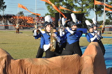 Enlarge photo 284