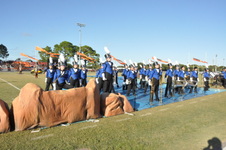 Enlarge photo 302