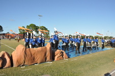 Enlarge photo 312