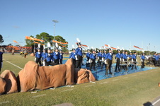 Enlarge photo 314