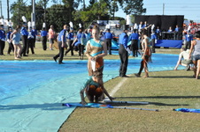 Enlarge photo 484
