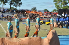Enlarge photo 513