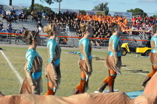 Enlarge photo 514