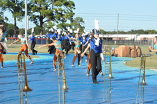 Enlarge photo 529