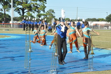 Enlarge photo 539