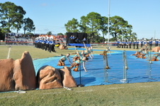 Enlarge photo 554