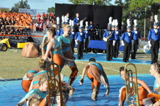 Enlarge photo 610