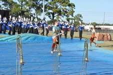 Enlarge photo 623