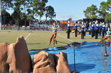 Enlarge photo 643