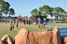 Enlarge photo 657