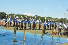 Enlarge photo 667