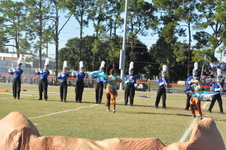 Enlarge photo 832