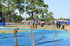 Enlarge photo 998