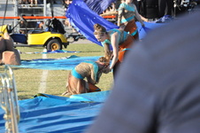 Enlarge photo 1026