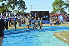 Enlarge photo 1043