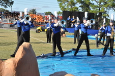 Enlarge photo 1138