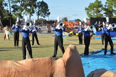Enlarge photo 1140