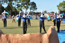 Enlarge photo 1141