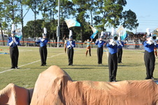 Enlarge photo 1143