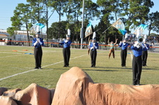 Enlarge photo 1144
