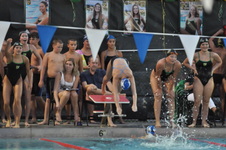 Enlarge photo 46