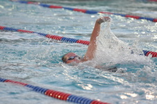 Enlarge photo 51