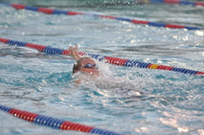 Enlarge photo 52