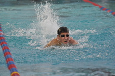 Enlarge photo 59