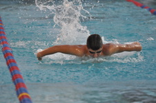 Enlarge photo 60