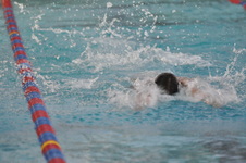 Enlarge photo 61