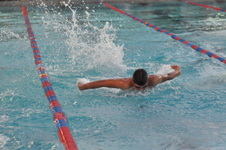 Enlarge photo 63