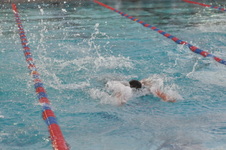 Enlarge photo 64