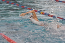 Enlarge photo 92