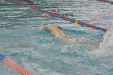 Enlarge photo 93