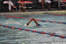 Enlarge photo 95