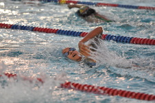 Enlarge photo 97