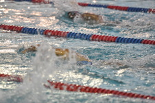 Enlarge photo 98