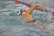 Enlarge photo 99