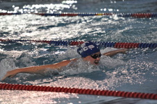Enlarge photo 113