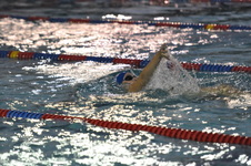 Enlarge photo 114