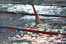 Enlarge photo 115