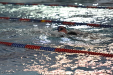 Enlarge photo 117