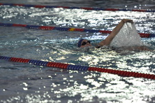Enlarge photo 118