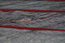 Enlarge photo 119
