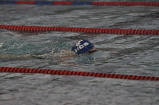 Enlarge photo 120